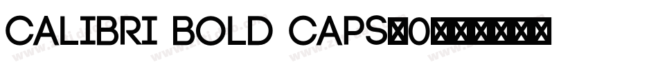 calibri bold caps_0字体转换